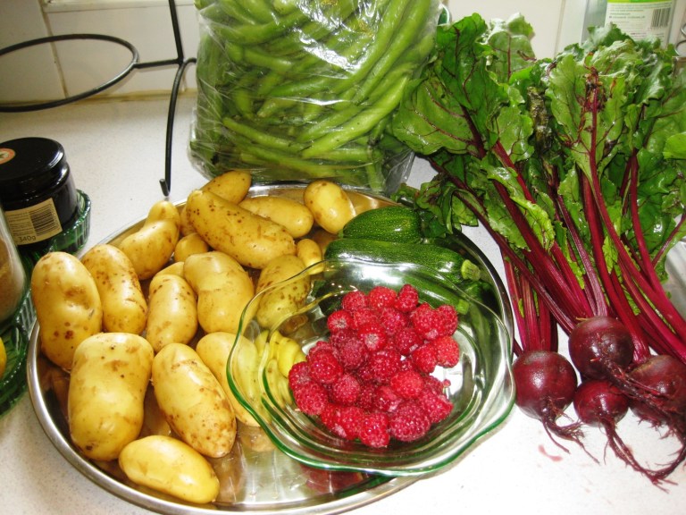 Balmore Allotments Caversham (1)