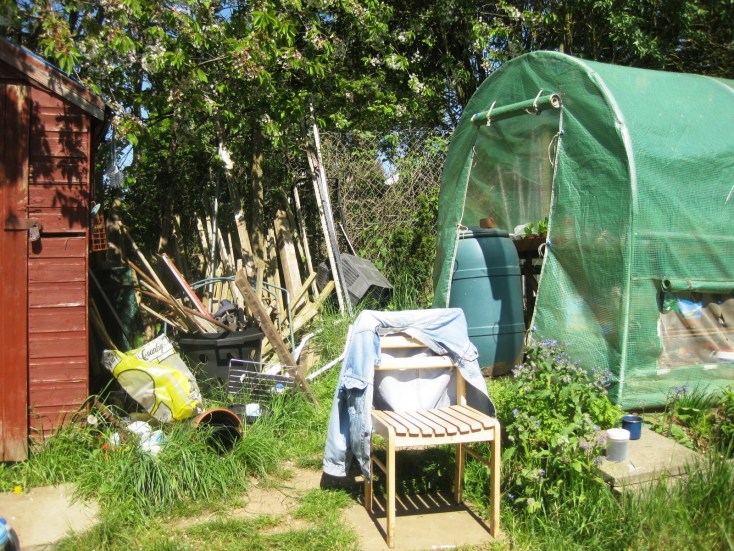 Balmore Allotments Caversham (1)