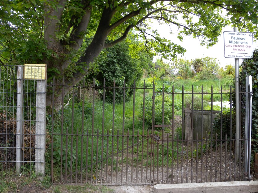 Balmore Allotments Caversham (1)
